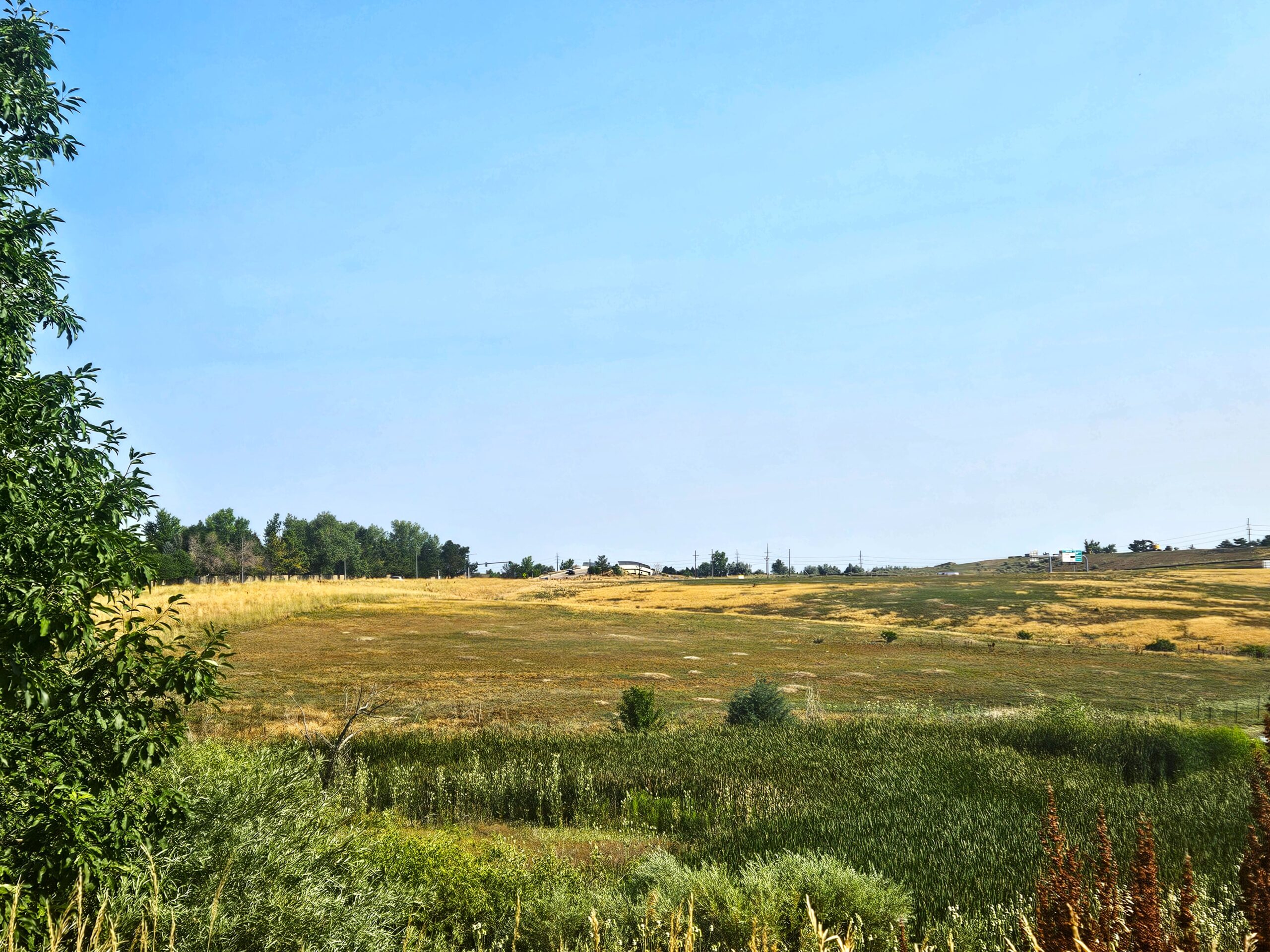 open grass land and blue sky.